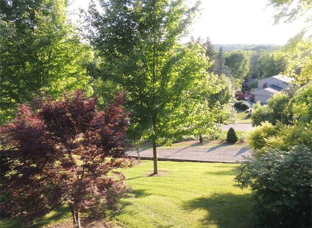 Homes for sale in Silver Bell Hills Rochester MI